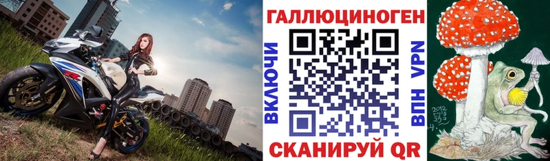 гидра зеркало мориарти клад Галлюциногенные грибы Psilocybe цены наркотик Енисейск